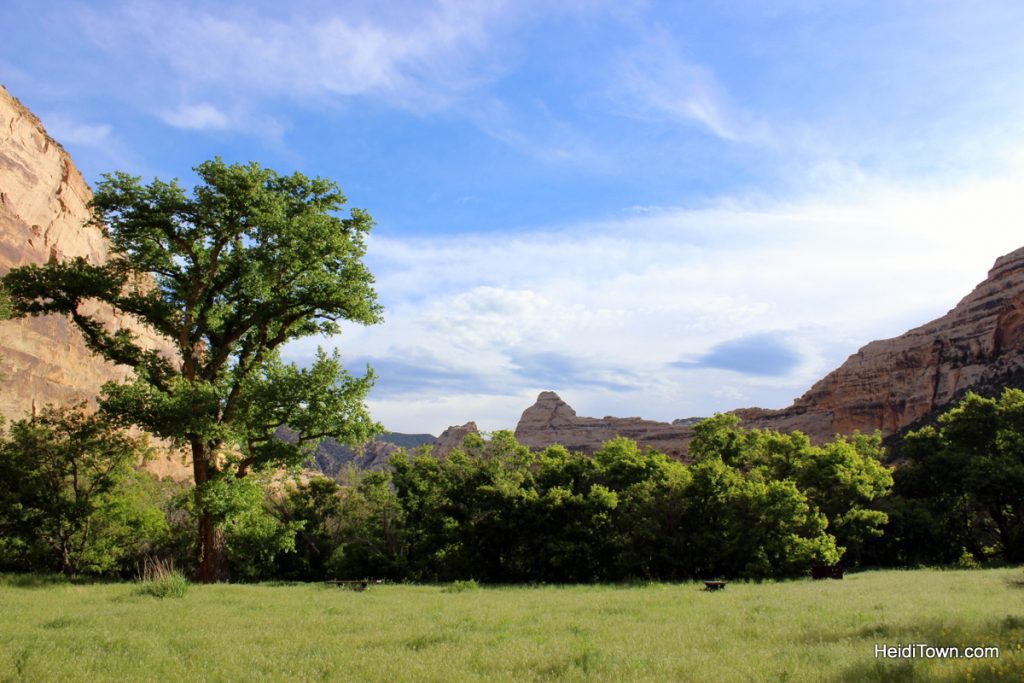 dinosaur national monument camping